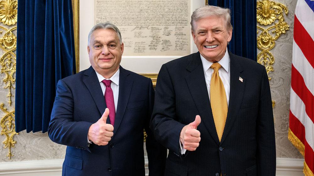 Bild: Victor Orbàn und Donald Trump, lächelnd, mit erhobenem Daumen