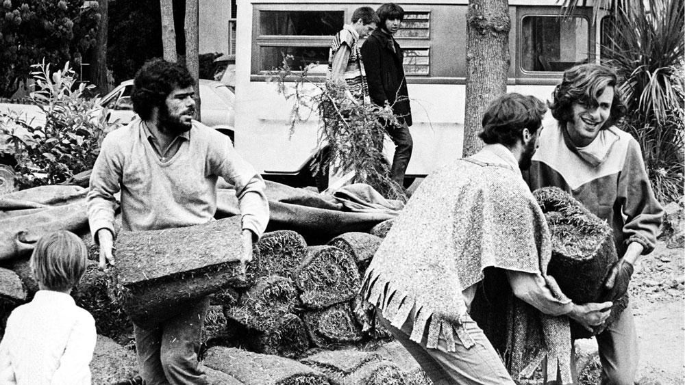 Bild: eine Gruppe Hippies verlegen eigenhändig Rollrasen in einem öffentlichen Park