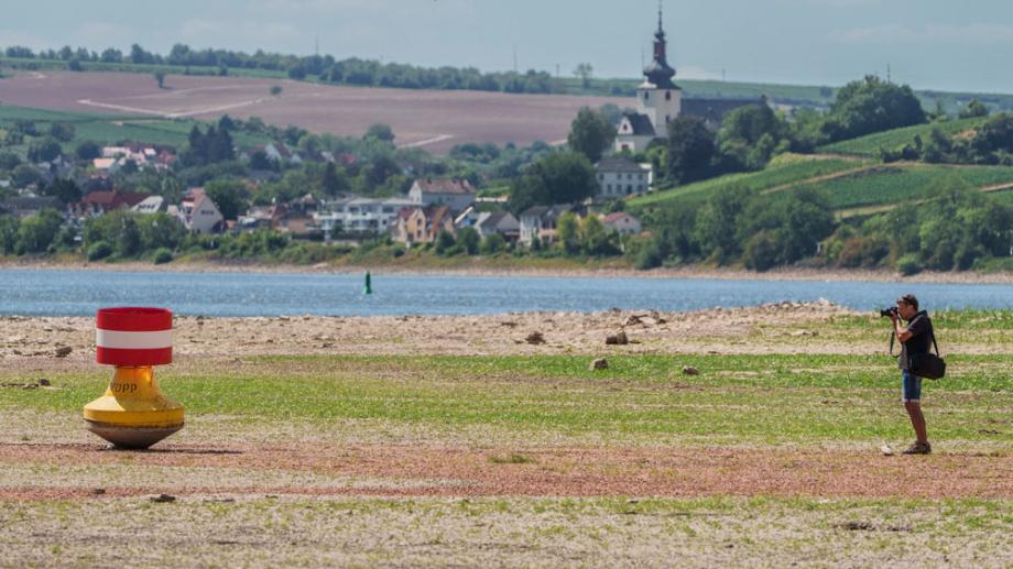Bild: Ein Mann fotografiert eine Boje im Rhein, die durch das Niedrigwasser an Land liegt.